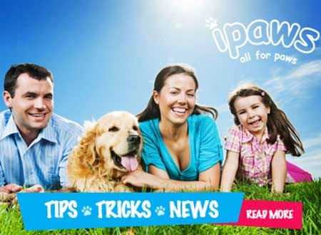 Dogs Store & Dog Supplies Sydney NSW Dogs Stores & Dog Supplies Sydney NSW Australia, Melbourne, Perth, Brisbane